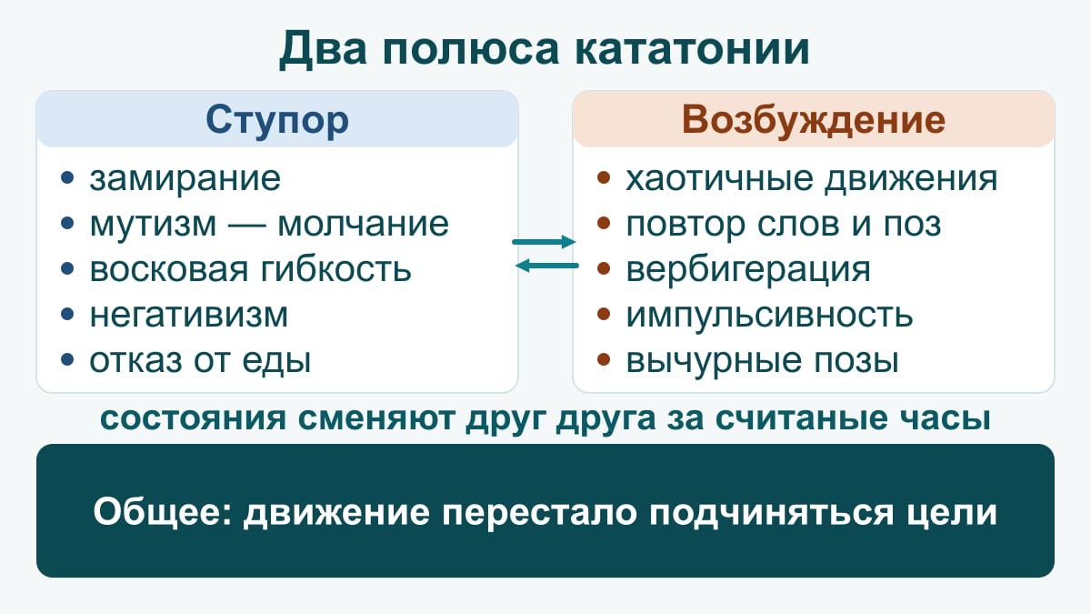Схема: два полюса кататонии — ступор (замирание, мутизм, восковая гибкость, негативизм, отказ от еды и питья) и возбуждение (хаотичные движения, повторение слов и поз, вербигерация, импульсивные поступки, вычурные позы); состояния сменяют друг друга за считаные часы, общее — движение перестало подчиняться цели